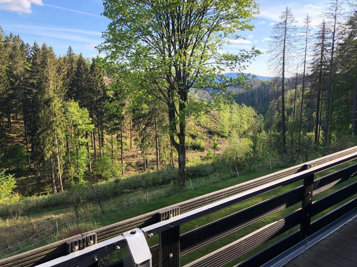 Fewo Nartura: Modern - Idyllisch - Stilvoll - Ruhig Sankt Andreasberg Exterior foto