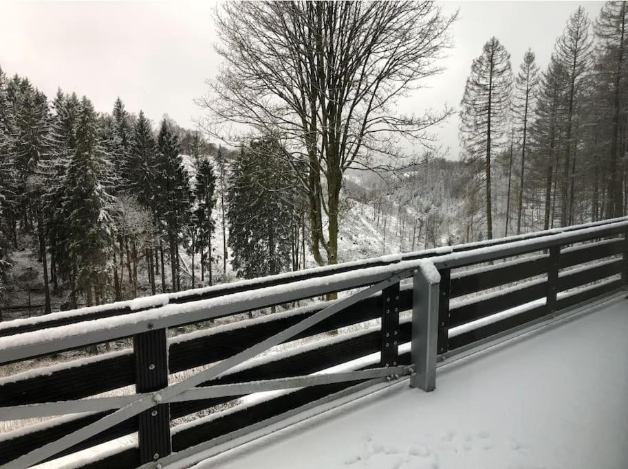 Fewo Nartura: Modern - Idyllisch - Stilvoll - Ruhig Sankt Andreasberg Exterior foto